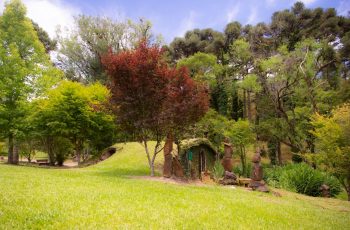 Experiência Airbnb: Sítio dos cogumelos em Gramado/RS