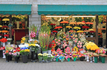 A importância das plantas e flores no Home Staging